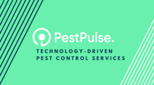 Read more about the article PEST CONTROL AT NEWMARKET KITCHEN